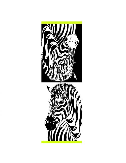 Marilyn’s Zebra mirror original print rectangle scarf/Shawl